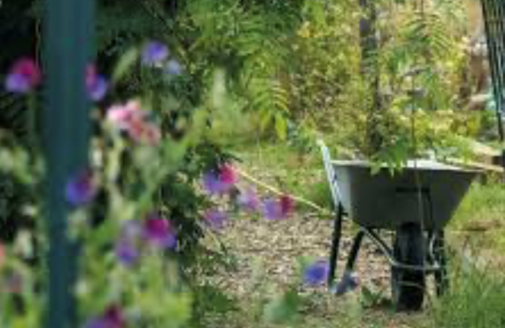 Community Garden successful application
